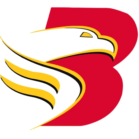 Brigada
